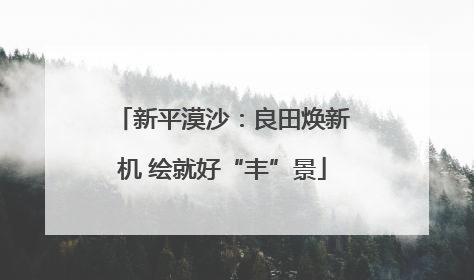 新平漠沙：良田焕新机 绘就好“丰”景