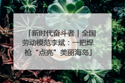 新时代奋斗者｜全国劳动模范李斌：一把焊枪“点亮”美丽海岛