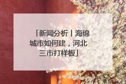 新闻分析丨海绵城市如何建，河北三市打样板