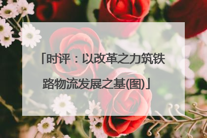 时评：以改革之力筑铁路物流发展之基(图)