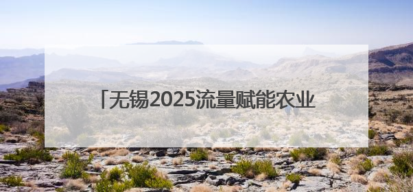 无锡2025流量赋能农业发展“乡村行”正式启动