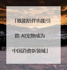 既能陪伴也能引路 AI宠物成为中国消费新领域