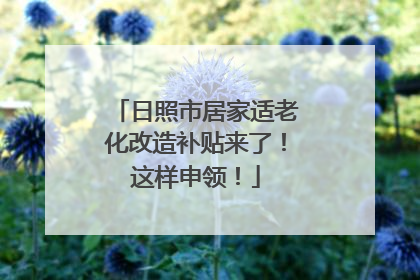 日照市居家适老化改造补贴来了！这样申领！