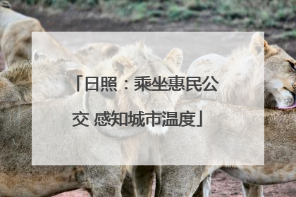 日照：乘坐惠民公交 感知城市温度