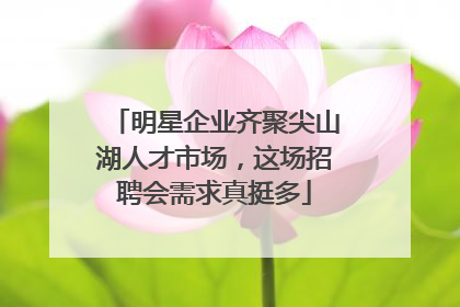 明星企业齐聚尖山湖人才市场，这场招聘会需求真挺多