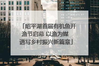 昭平湖首届有机鱼开渔节启幕 以渔为媒 谱写乡村振兴新篇章