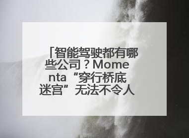 智能驾驶都有哪些公司？Momenta“穿行桥底迷宫”无法不令人印象深刻！