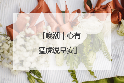 晚潮｜心有猛虎说早安