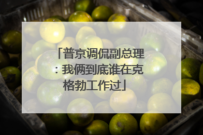 普京调侃副总理：我俩到底谁在克格勃工作过