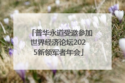 普华永道受邀参加世界经济论坛2025新领军者年会