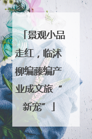 景观小品走红，临沭柳编藤编产业成文旅“新宠”