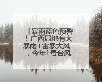 暴雨蓝色预警！广西局地有大暴雨+雷暴大风，今年1号台风最新消息……