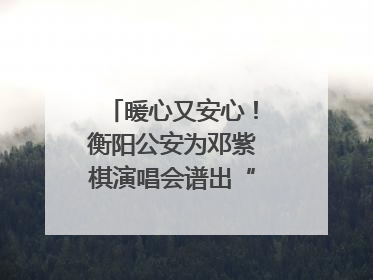 暖心又安心！衡阳公安为邓紫棋演唱会谱出“平安曲”