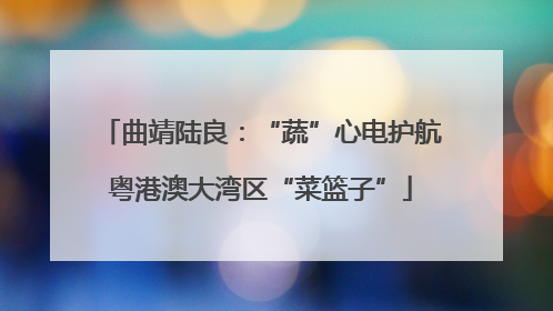 曲靖陆良：“蔬”心电护航粤港澳大湾区“菜篮子”