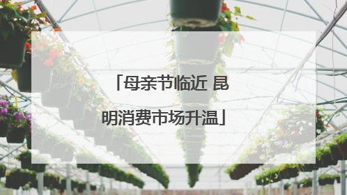 母亲节临近 昆明消费市场升温