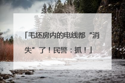毛坯房内的电线都“消失”了！民警：抓！