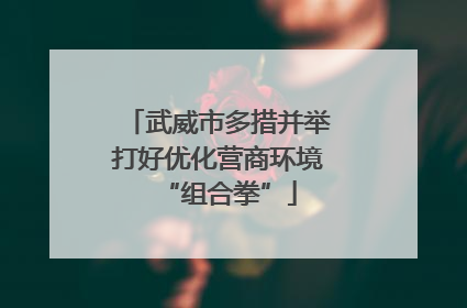 武威市多措并举打好优化营商环境“组合拳”