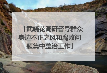 武晓花调研督导群众身边不正之风和腐败问题集中整治工作