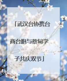 武汉台协携台商台胞与蔡甸学子共庆双节