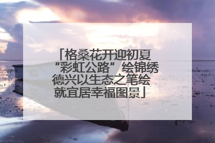 格桑花开迎初夏 “彩虹公路”绘锦绣 德兴以生态之笔绘就宜居幸福图景