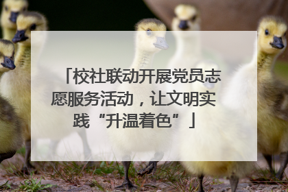 校社联动开展党员志愿服务活动，让文明实践“升温着色”