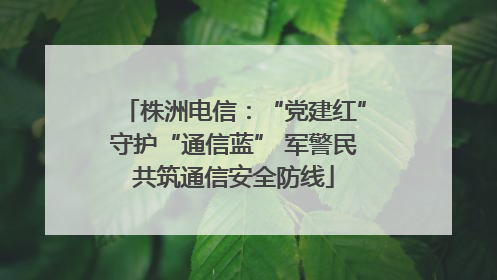 株洲电信：“党建红”守护“通信蓝” 军警民共筑通信安全防线