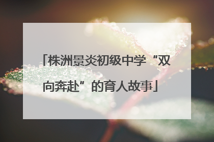 株洲景炎初级中学“双向奔赴”的育人故事
