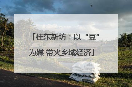 桂东新坊：以“豆”为媒 带火乡域经济