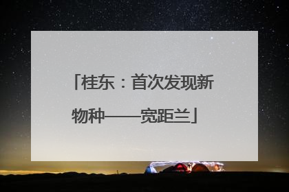 桂东：首次发现新物种——宽距兰