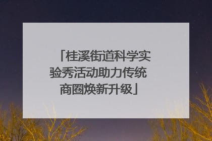 桂溪街道科学实验秀活动助力传统商圈焕新升级