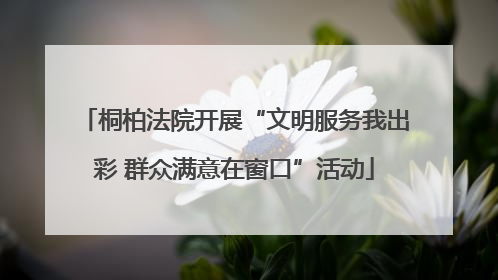 桐柏法院开展“文明服务我出彩 群众满意在窗口”活动
