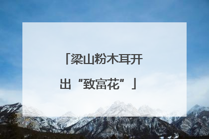 梁山粉木耳开出“致富花”