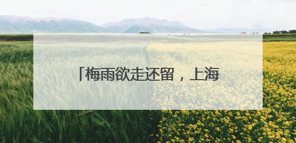 梅雨欲走还留，上海周三起气温迅速走高