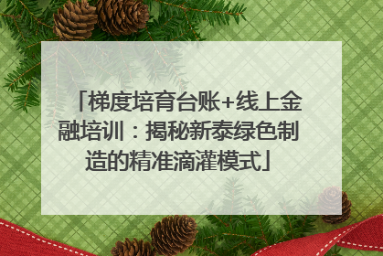 梯度培育台账+线上金融培训：揭秘新泰绿色制造的精准滴灌模式