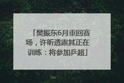 樊振东6月重回赛场，许昕透露其正在训练：将参加乒超