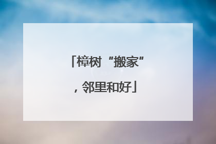 樟树“搬家”，邻里和好