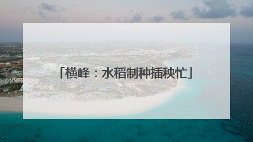 横峰：水稻制种插秧忙