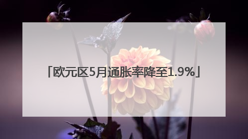 欧元区5月通胀率降至1.9%