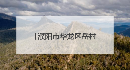 濮阳市华龙区岳村镇人大代表一线助力粮食安全保卫战