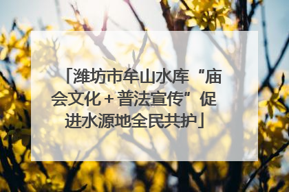 潍坊市牟山水库“庙会文化＋普法宣传”促进水源地全民共护