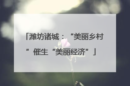 潍坊诸城：“美丽乡村”催生“美丽经济”
