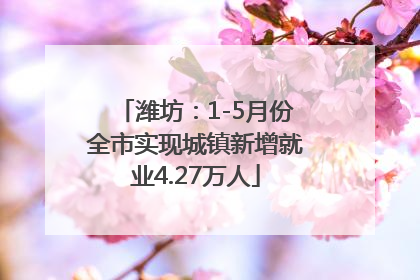 潍坊：1-5月份全市实现城镇新增就业4.27万人
