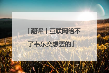 潮评丨互联网给不了韦东奕想要的
