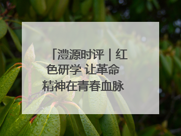 澧源时评｜红色研学 让革命精神在青春血脉中永续传承
