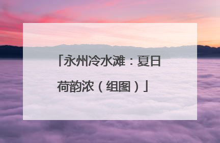 永州冷水滩：夏日荷韵浓（组图）