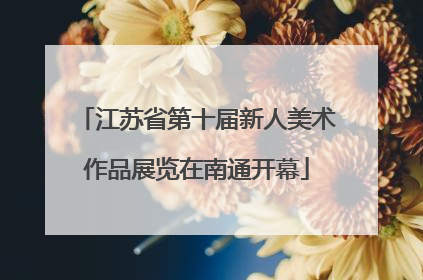 江苏省第十届新人美术作品展览在南通开幕
