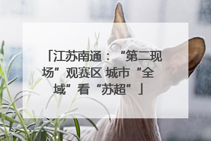 江苏南通：“第二现场”观赛区 城市“全域”看“苏超”