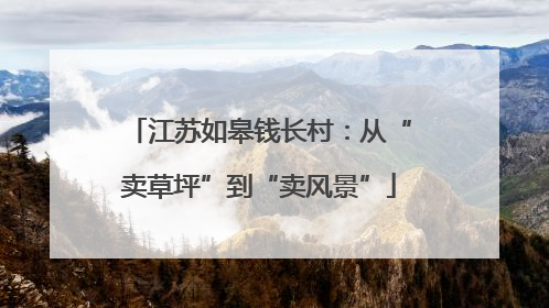 江苏如皋钱长村：从“卖草坪”到“卖风景”