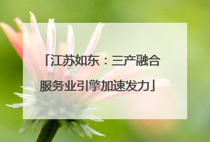 江苏如东：三产融合 服务业引擎加速发力