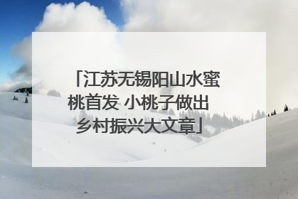 江苏无锡阳山水蜜桃首发 小桃子做出乡村振兴大文章